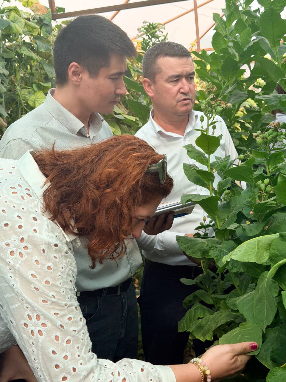 🤝 FAO vakili “Biosifat” respublika markazida - 2-rasm
